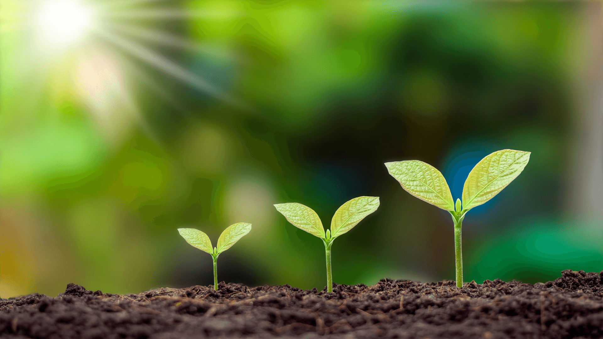 Green initiative background image